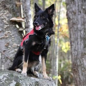 Meet your Posher, Sue